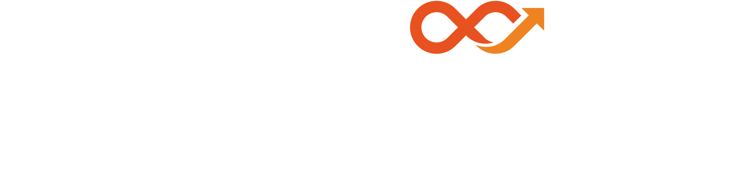 lemnisk logo