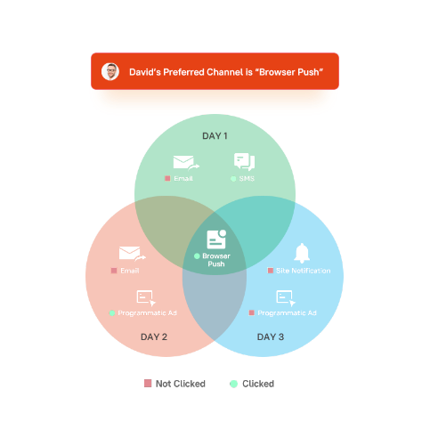 customer data platform